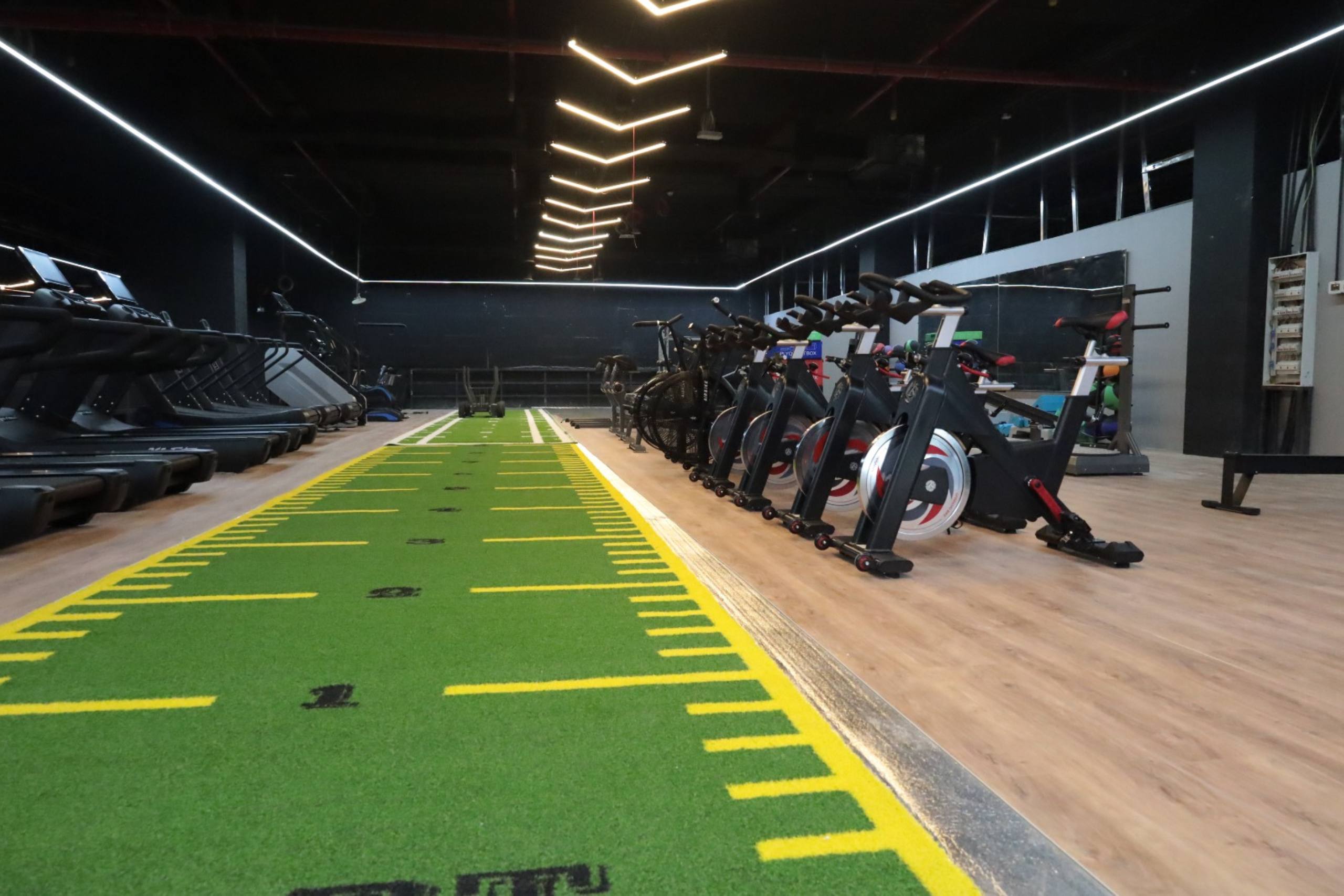 Untitled design - 2025-07-28T161304.121